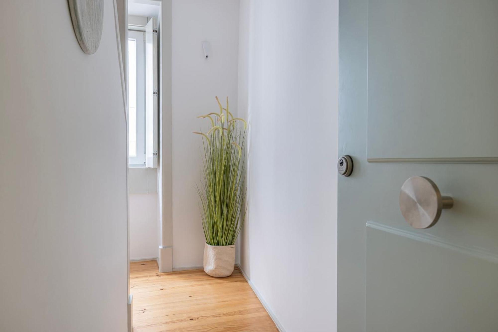 Condessa IV By Innkeeper Lisbon Exterior photo